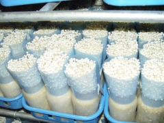 石家庄金针菇包菇片食用菌蘑菇栽培瓶菌种瓶PE环保材质可定制图3