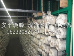 衡水专业食用菌网架厂家_浙江出菇房网架图1