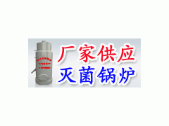 厂家直销 新式加高80型灭菌锅炉 灭菌机械 平菇香菇食用菌图2