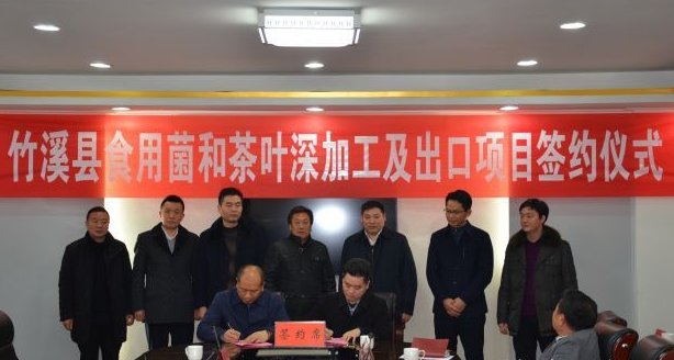QQ截图20170211085039