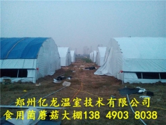 食用菌温室大棚的种类和一亩大棚造价图1