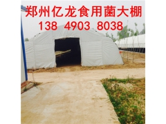 食用菌温室大棚的种类和一亩大棚造价图2