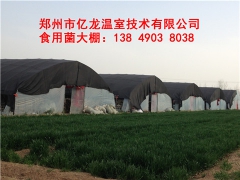 食用菌温室大棚的种类和一亩大棚造价图3