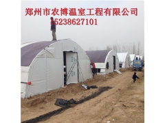 漯河制作各类食用菌一亩温室大棚造价图1