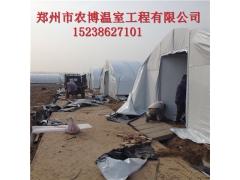 漯河制作各类食用菌一亩温室大棚造价图2