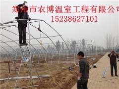 漯河制作各类食用菌一亩温室大棚造价图3