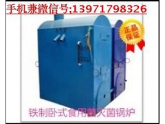 新一代小型食用菌灭菌锅炉 香菇平菇蒸汽锅炉生产厂家图2