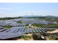 光伏大棚，太阳能大棚，种植大棚图1