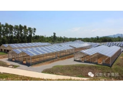 光伏大棚,太阳能大棚,种植大棚图1