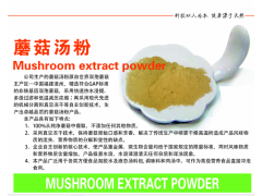 供应蘑菇提取粉 汤料汤粉 食品保健 食用菌提取物 厂家直销图2