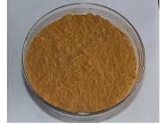 香菇多糖 食用菌提取物 保健食品图1