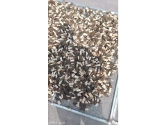 四川羊肚菌烘干机 各种食用菌药材烘干机烘烤设备图3