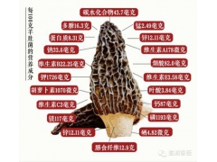 羊肚菌烘干机价格 各种食用菌烘干机烘烤机器图2