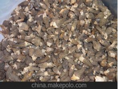 云南羊肚菌烘干机生产厂家 食用菌药材烘干机机器图2