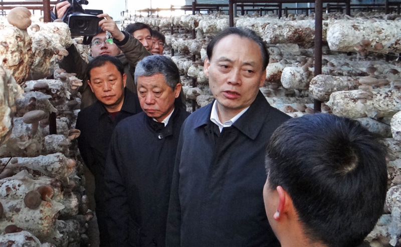余欣荣副部长在大棚里向生产户了解香菇管理情况