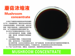 蘑菇提取液 食品调料 调味品图2