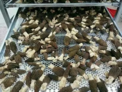 羊肚菌烘干机厂家 推荐中药材热风烘箱 笋干烘干机价格图3