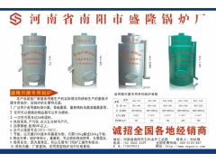 厂家供应河池北海崇左来宾防城港贺州灭菌锅炉图1