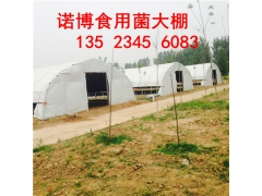 食用菌基地蘑菇大棚制作 濮阳温室大棚制造厂商图1