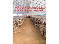 食用菌基地蘑菇大棚制作 濮阳温室大棚制造厂商图2