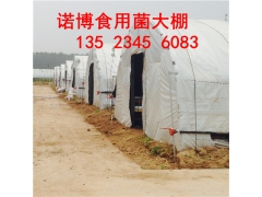 食用菌基地蘑菇大棚制作 濮阳温室大棚制造厂商图3