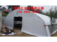 建一亩蘑菇养殖大棚造价多少钱 材料图2