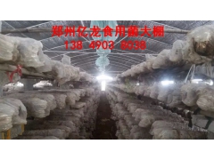 建一亩蘑菇养殖大棚造价多少钱 材料图3