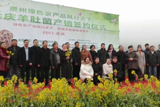 贵州绿色农产品风行天下余庆羊肚菌采摘节暨产销签约仪式活动在遵义余庆县举行 ()