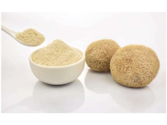 供应猴头菇粉图1