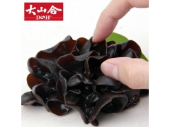 东北黑木耳图1