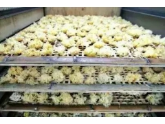 食用菌香菇多功能烘干机 红薯干辣椒木耳药材烘干设备图3