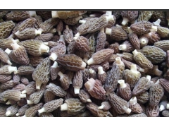 香菇烘干机 茶叶金银花笋干食用菌烘干机 地瓜烘干设备烘干箱图3