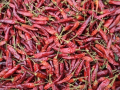 食品烘干机 中药烘干机 菊花烘干机 农副产品烘箱干燥烘干图3