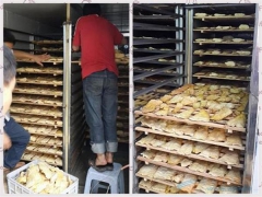 金银花烘干机厂家 金银花烘干设备 笋干羊肚菌哄箱批发图2