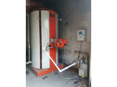 食用菌养殖锅炉/蒸菌锅炉价格/山东蒸菌锅炉厂家图3