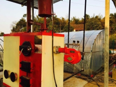 食用菌养殖锅炉/蒸菌锅炉价格/山东蒸菌锅炉厂家图3