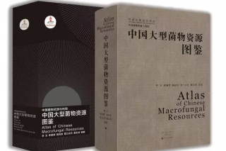 國家十二五重點規(guī)劃圖書《中國大型菌物資源圖鑒》上架易菇商城 ()