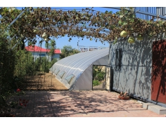 三生有闲休闲农庄图2