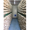 蘑菇种植科技箱房
