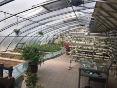 现代温室化大棚,休闲大棚,箱房大棚图3