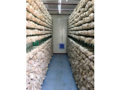 智能化食用菌种植箱房，人工气候室，蘑菇种植房。图2