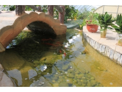 三生有闲休闲农庄图3