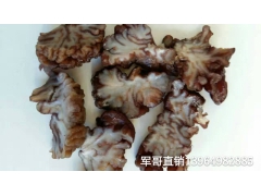 玛卡菌 玛卡菇 玛卡菌 玛卡菌 产地玛卡菌图1