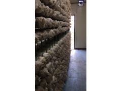 科技智能化蘑菇种植箱房图2