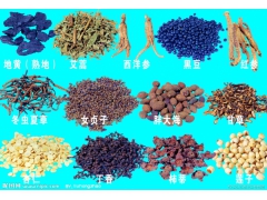 24格小型香菇烘干机生产厂家 竹笋烘干设备图2