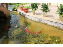 三生有闲娱乐农庄图3