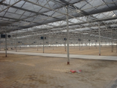 光伏大棚,太阳能大棚,种植大棚图3