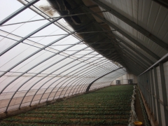 光伏大棚,太阳能大棚,种植大棚图1