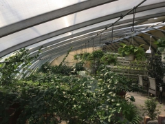 三生有闲休闲农庄图1