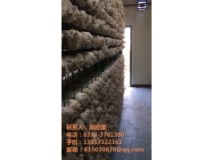 科技智能化蘑菇种植箱房图1